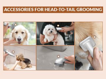 Pet Hair Dog Grooming Supplies For Sale Buy Forbes Buddy Pet