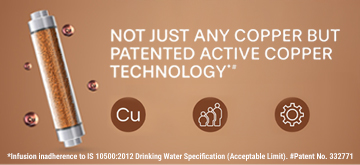 Comprehensive Guide to RO Water Purification with the Added Benefit of Copper