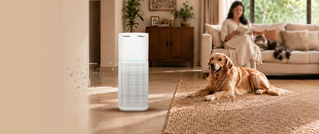 If You Have Pets at Home, Here's What to Look for in an Air Purifier