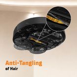 Blitz - Anti Tangling 1100x1100px.jpg