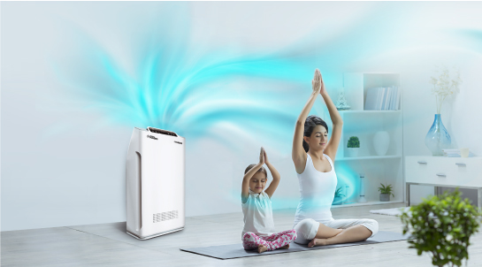 Comprehensive Air Purifier Buying Guide: From Considerations to Smart Purchase Tips