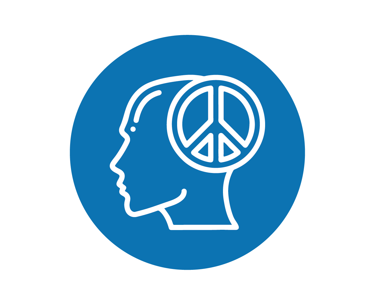image-icon